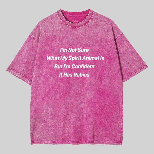 Im Not Sure What My Spirit Animal Is Geek Washed T-shirt