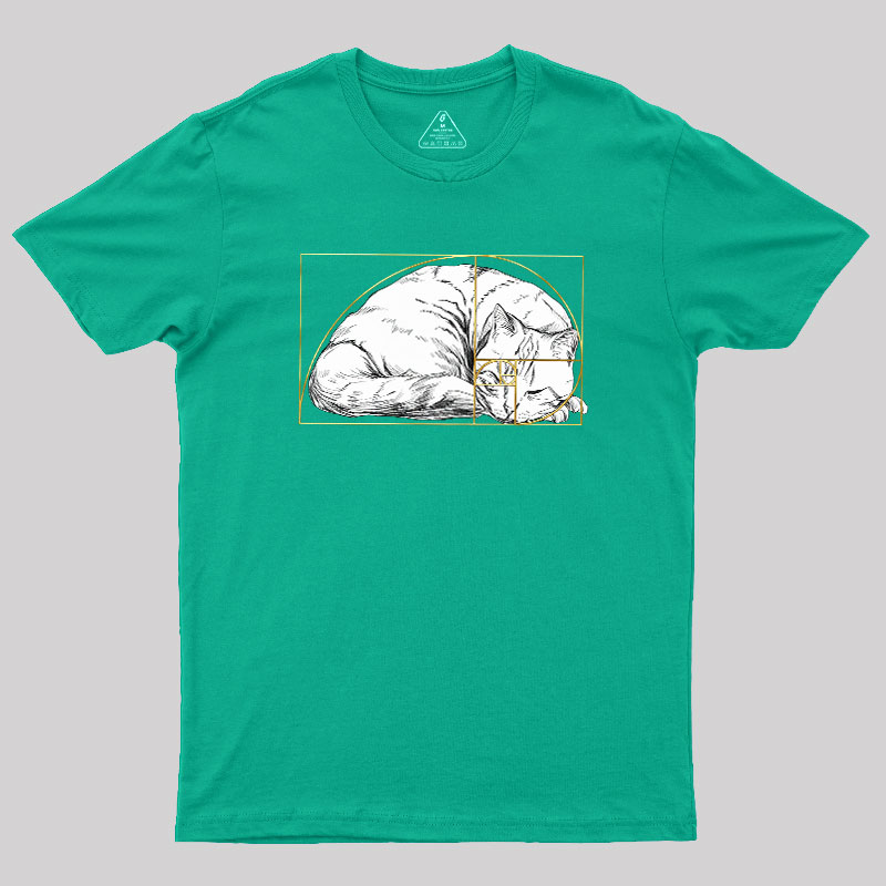 Perfect Ratio Geek T-Shirt