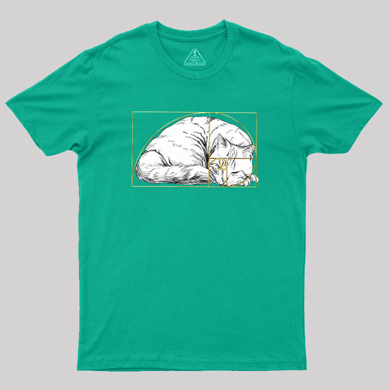 Perfect Ratio Geek T-Shirt