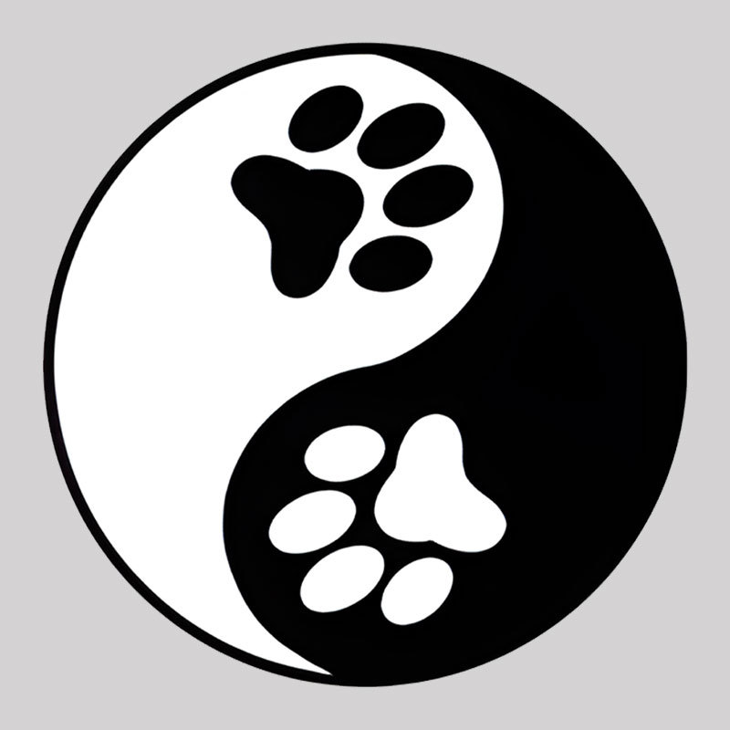 Yin Yang Pows Geek T-Shirt