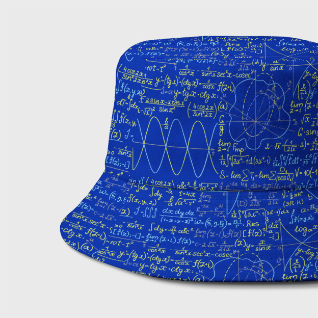 Math Function Curve Geek Bucket Hat