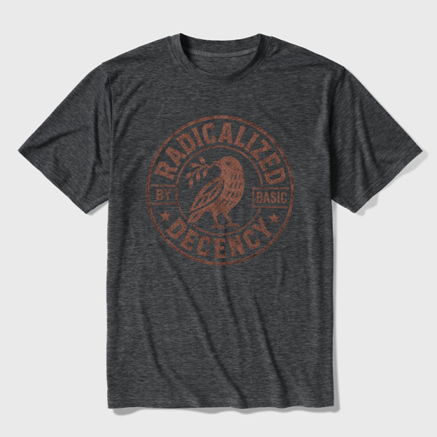 Radicalized By Basic Decency Ultra Soft Heather Tee