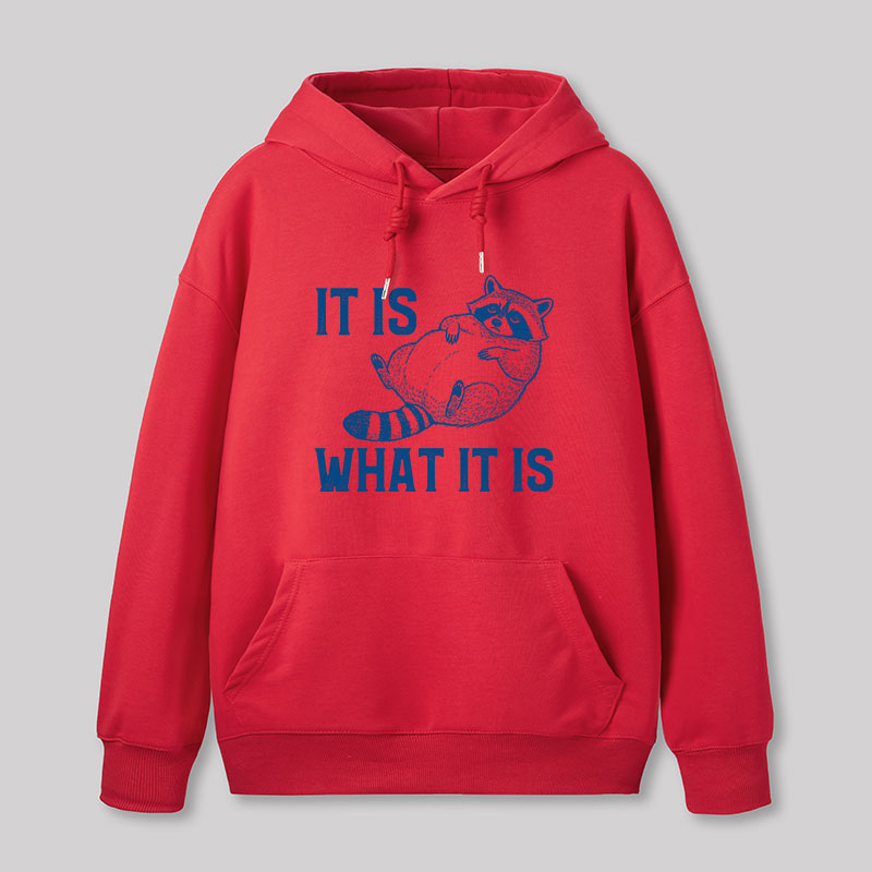 This Is What It Is Geek Hoodie