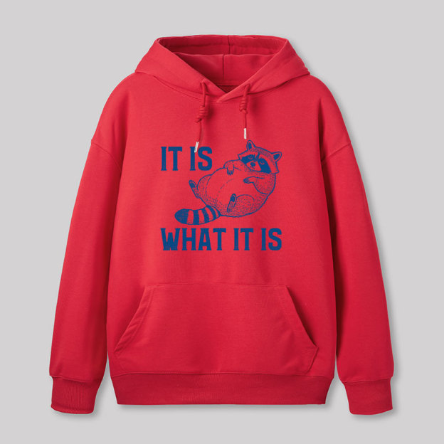 This Is What It Is Geek Hoodie