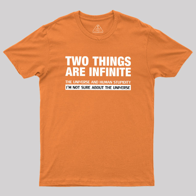 Infinite Stupidity Geek T-Shirt