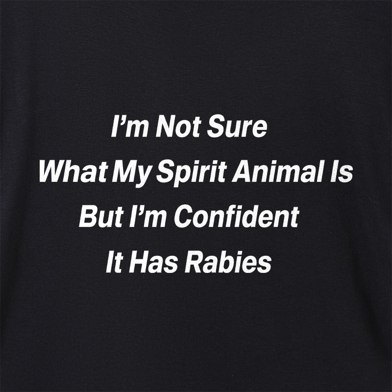 I'm Not Sure What My Spirit Geek Dolman Sleeve V-Neck Shirt