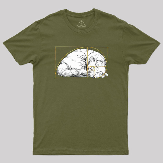 Perfect Ratio Geek T-Shirt