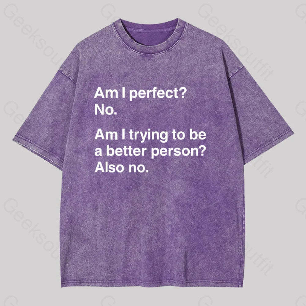 Am I Perfect No Washed T-Shirt Purple / S