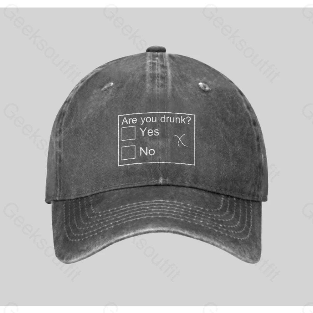 Are You Drunk Washed Vintage Baseball Cap Grey