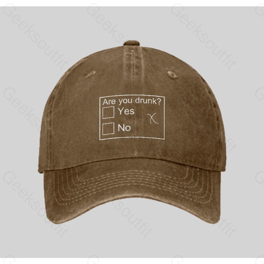 Are You Drunk Washed Vintage Baseball Cap Natural