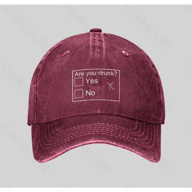 Are You Drunk Washed Vintage Baseball Cap Red