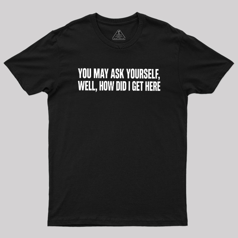 You May Ask Yourself Well How Did I Get Here Geek T-Shirt