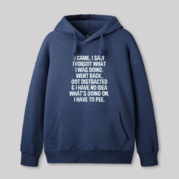 I Came I Saw I Forgot What I Was Doing Geek Hoodie