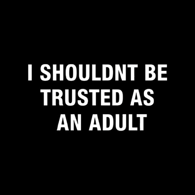 Trusted As an Adult Geek T-Shirt