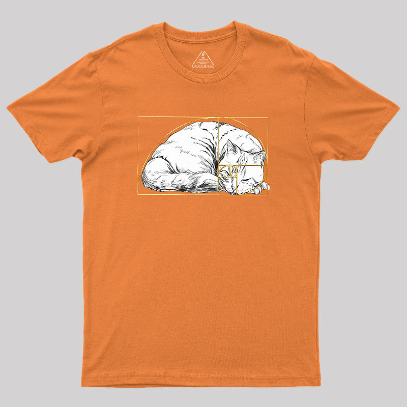 Perfect Ratio Geek T-Shirt