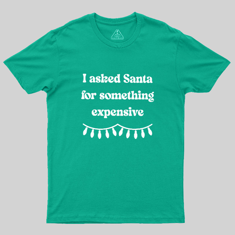 I Asked Santa For Something Expensive Geek T-Shirt