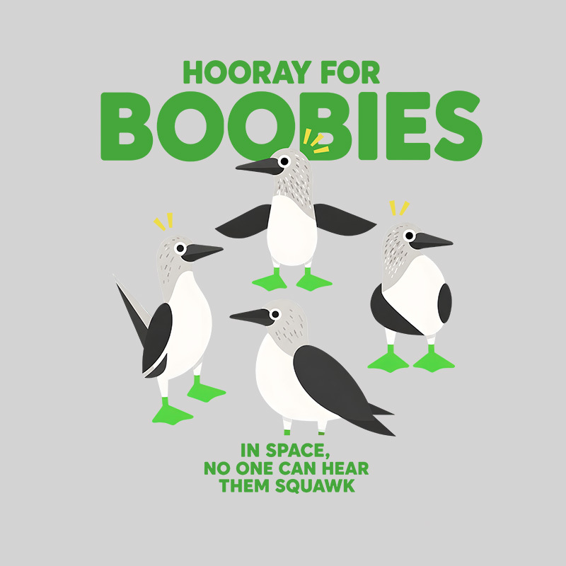 Hooray For Boobies Geek T-Shirt