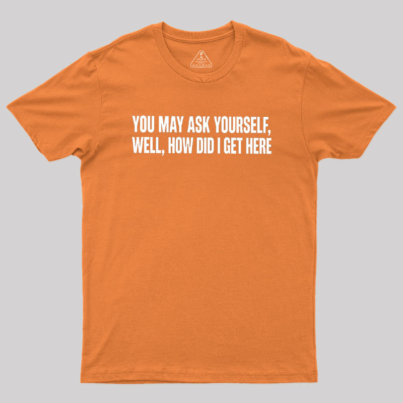 You May Ask Yourself Well How Did I Get Here Geek T-Shirt