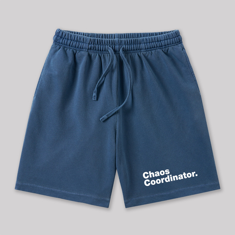 Chaos Coordinator Geeky Washed Shorts