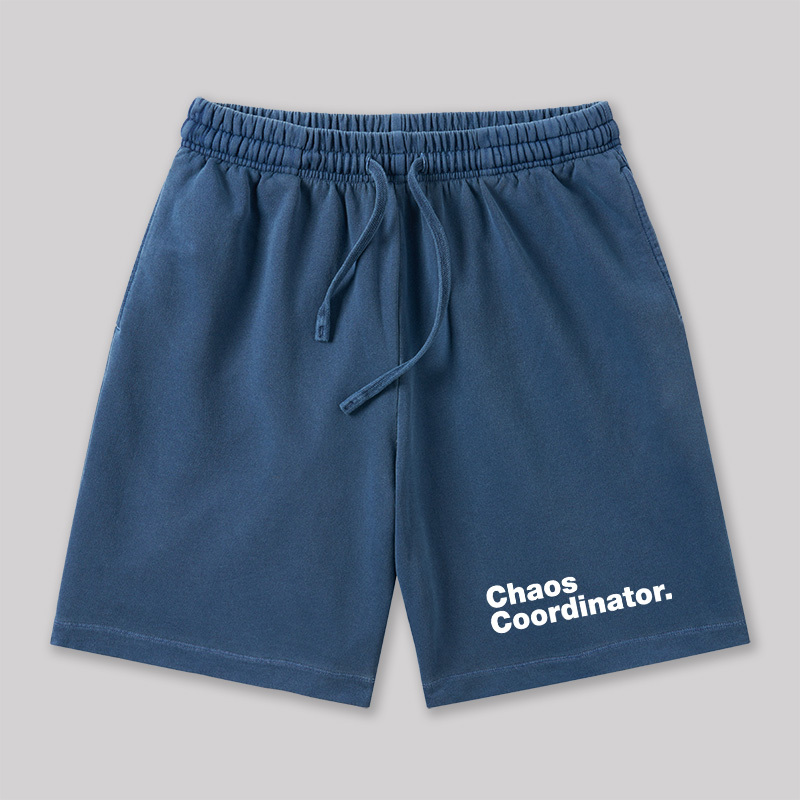 Chaos Coordinator Geeky Washed Shorts