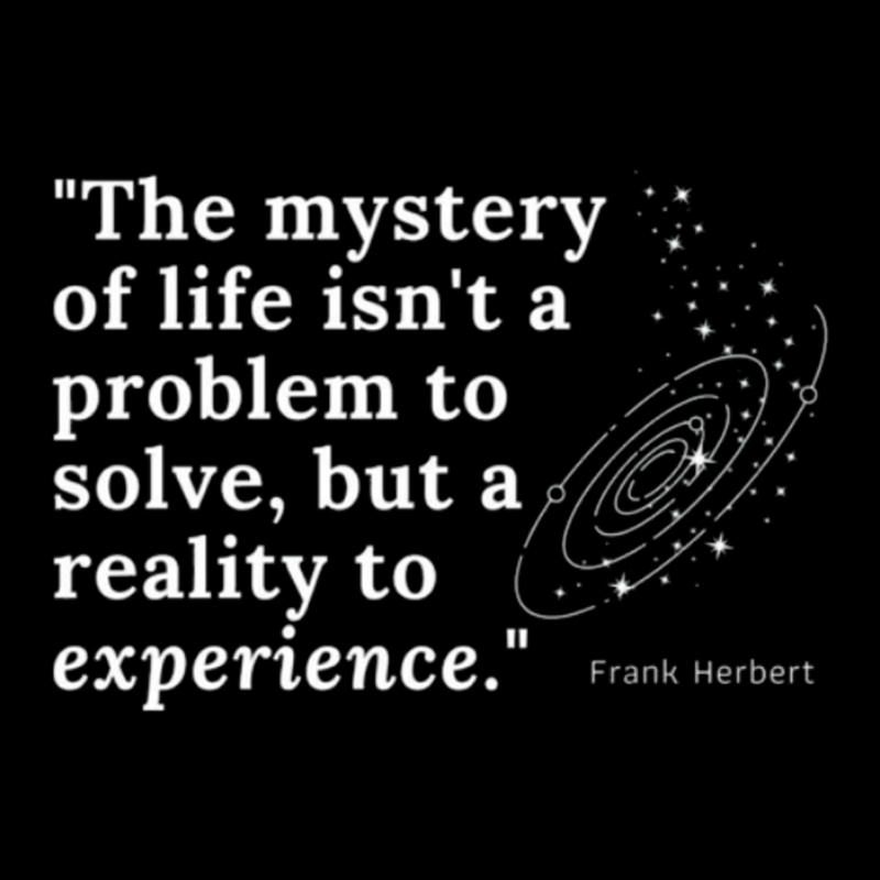 A Reality to Experience Geek T-Shirt