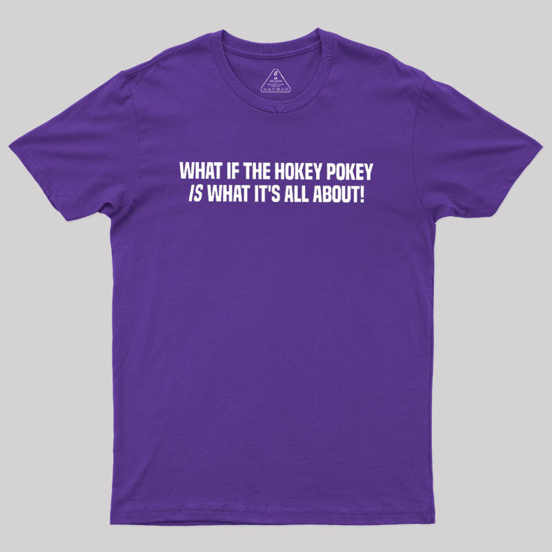 What If The Hokey Pokey Is What Its All About Geek T-Shirt