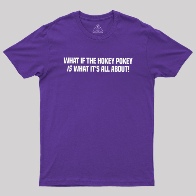 What If The Hokey Pokey Is What Its All About Geek T-Shirt