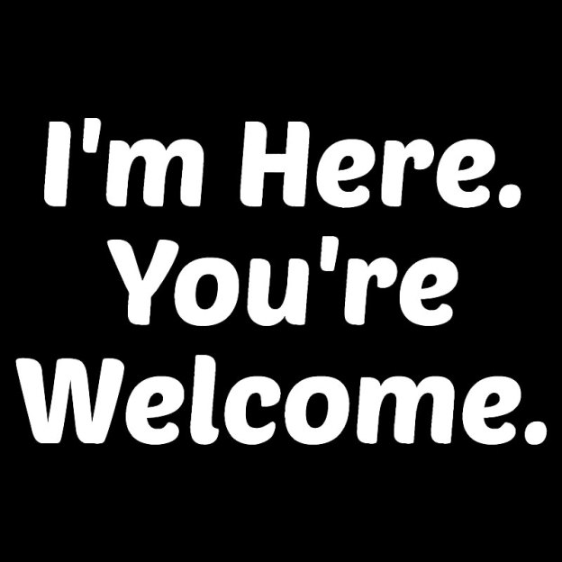 Im Here. You are Welcome Geek T-Shirt