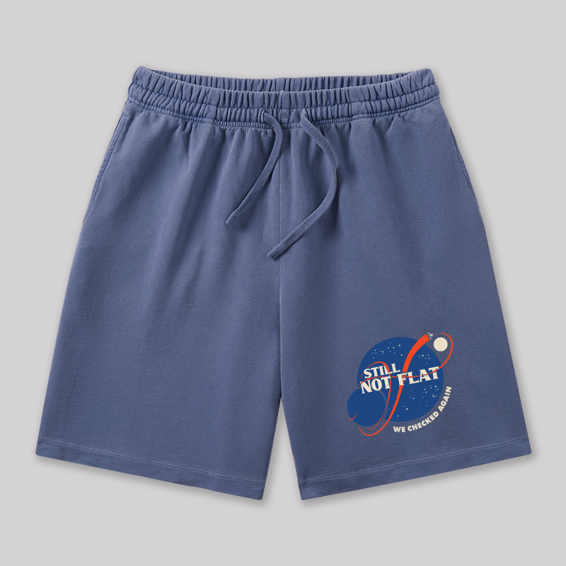 Still Not Flat Geeky Washed Shorts