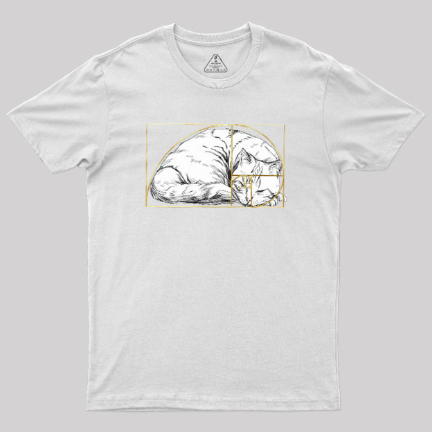 Perfect Ratio Geek T-Shirt