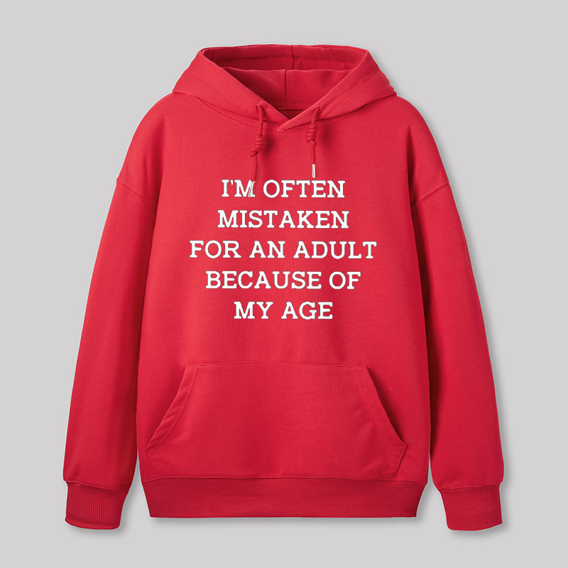 Mistaken For An Adult Geek Hoodie