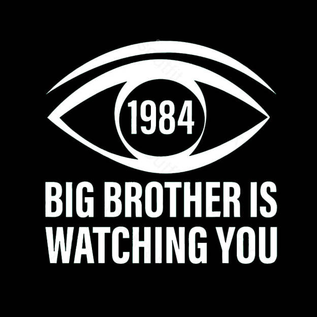 Big Brother is Watching You (George Orwell, 1984) T-shirt - Geeksoutfit