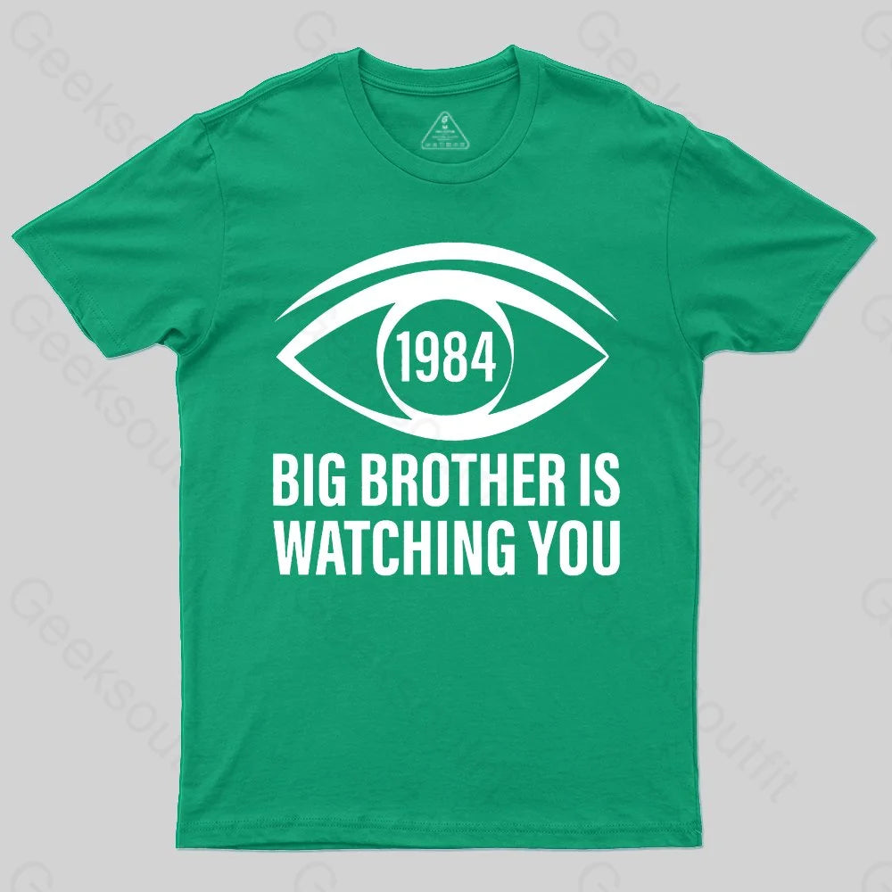 Big Brother is Watching You (George Orwell, 1984) T-shirt - Geeksoutfit