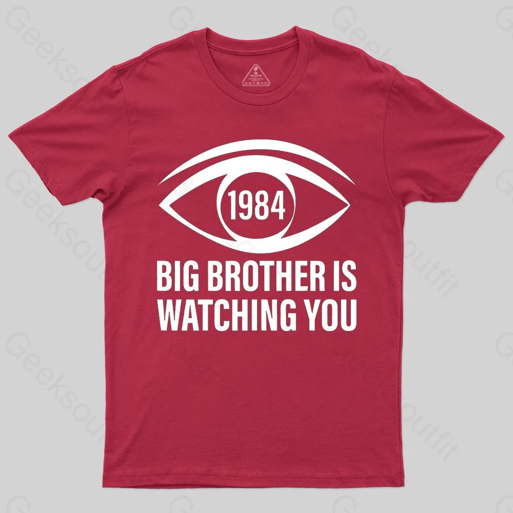 Big Brother is Watching You (George Orwell, 1984) T-shirt - Geeksoutfit