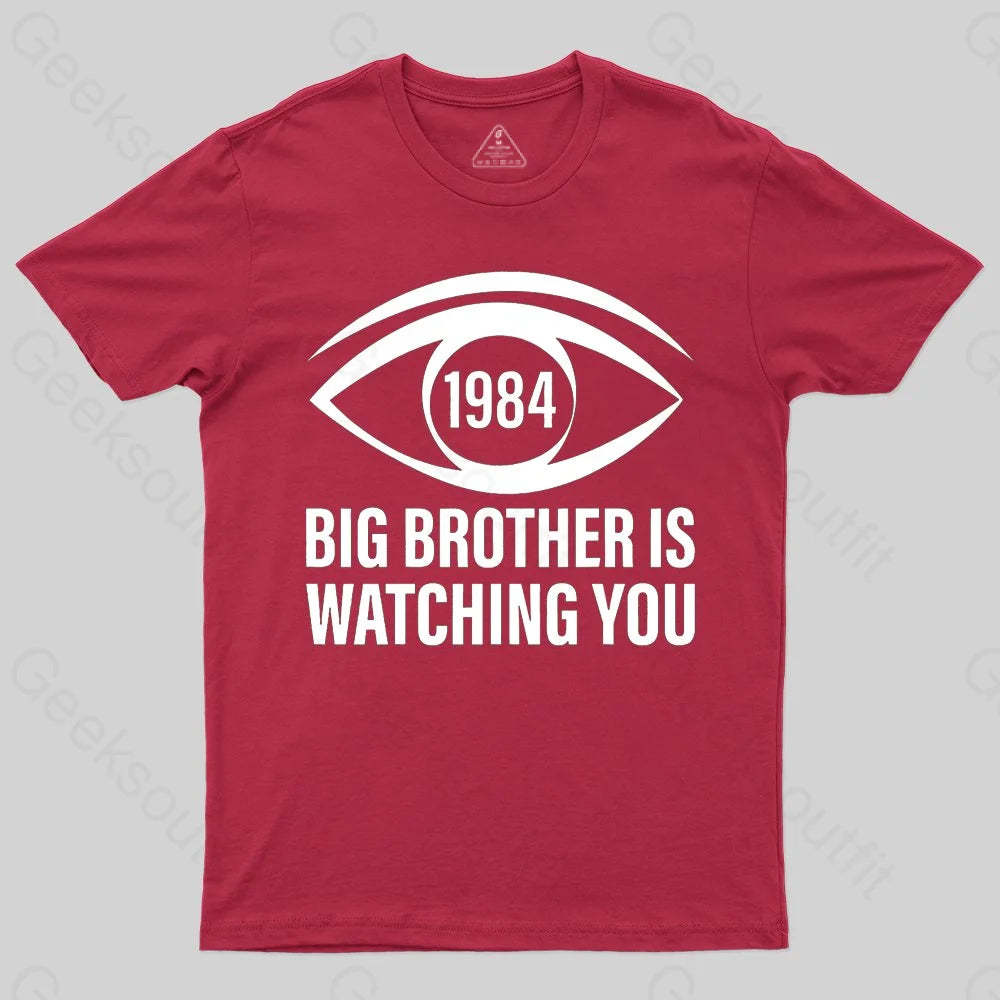 Big Brother is Watching You (George Orwell, 1984) T-shirt - Geeksoutfit