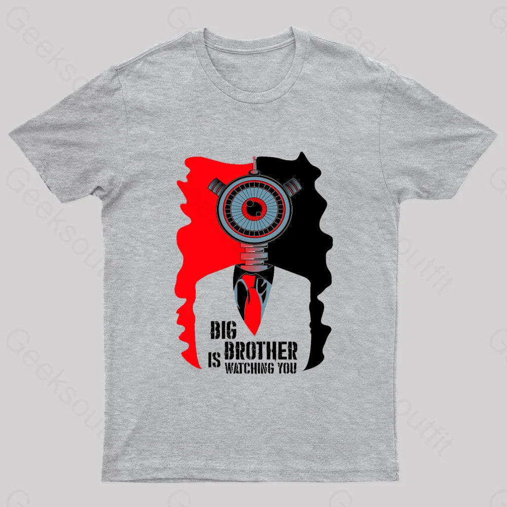 Big Brother Is Watching You Nerd T-Shirt Grey / S