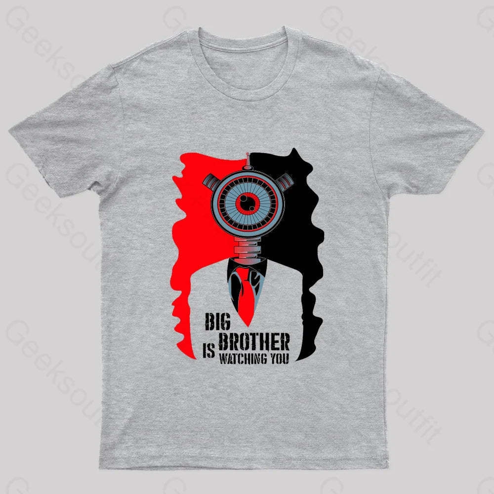 Big Brother Is Watching You Nerd T-Shirt Grey / S