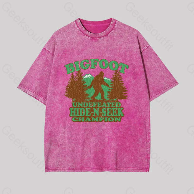 Bigfoot Hide N Seek Champion Geek Washed T-Shirt Rose Red / S
