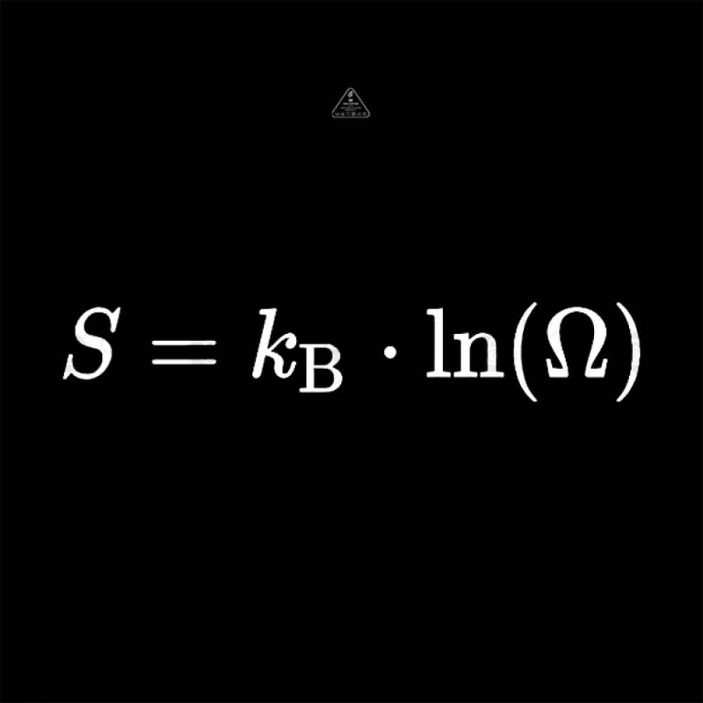 Boltzmann Entropy, statistical physics and thermodynamics T-shirt - Geeksoutfit