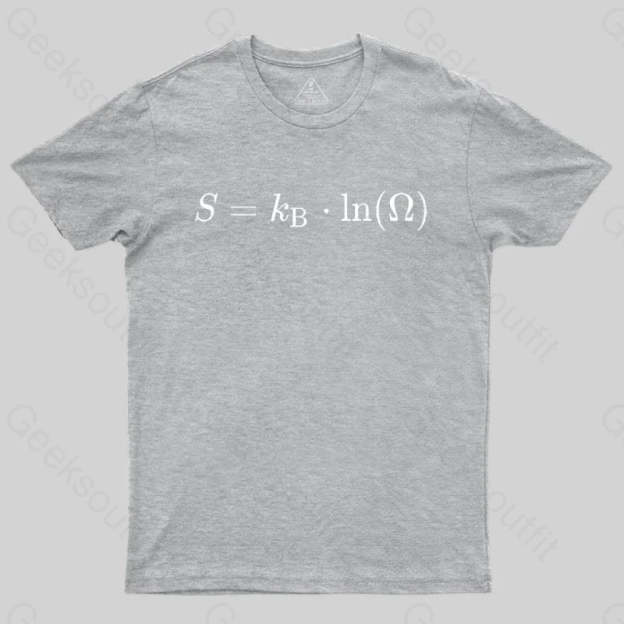 Boltzmann Entropy, statistical physics and thermodynamics T-shirt - Geeksoutfit