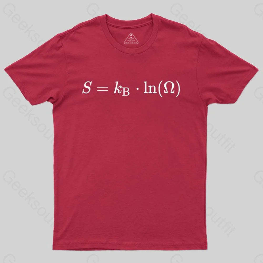 Boltzmann Entropy, statistical physics and thermodynamics T-shirt - Geeksoutfit