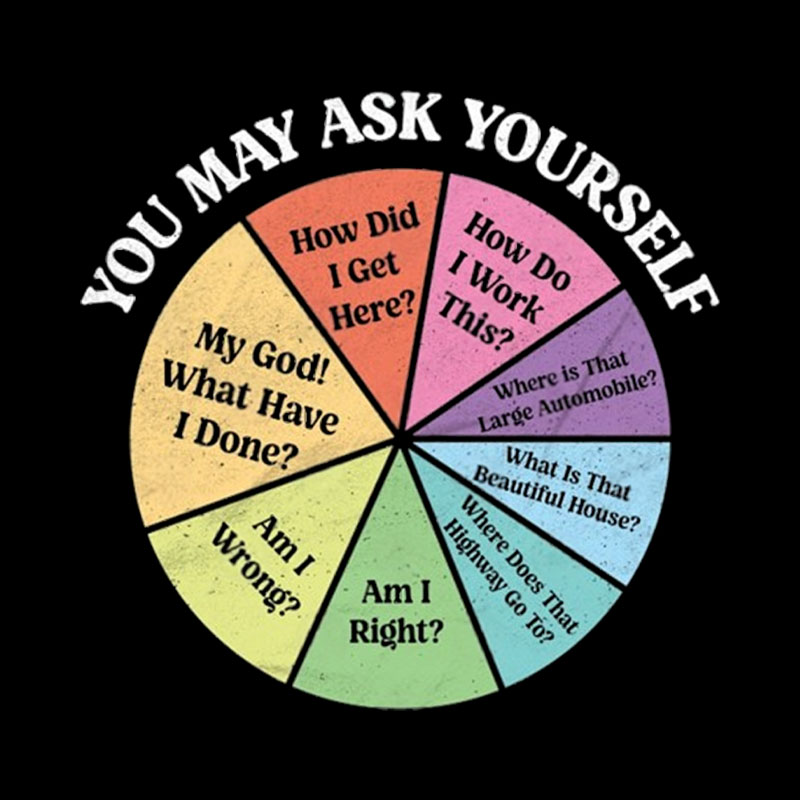 You May Ask Yourself Geek T-Shirt