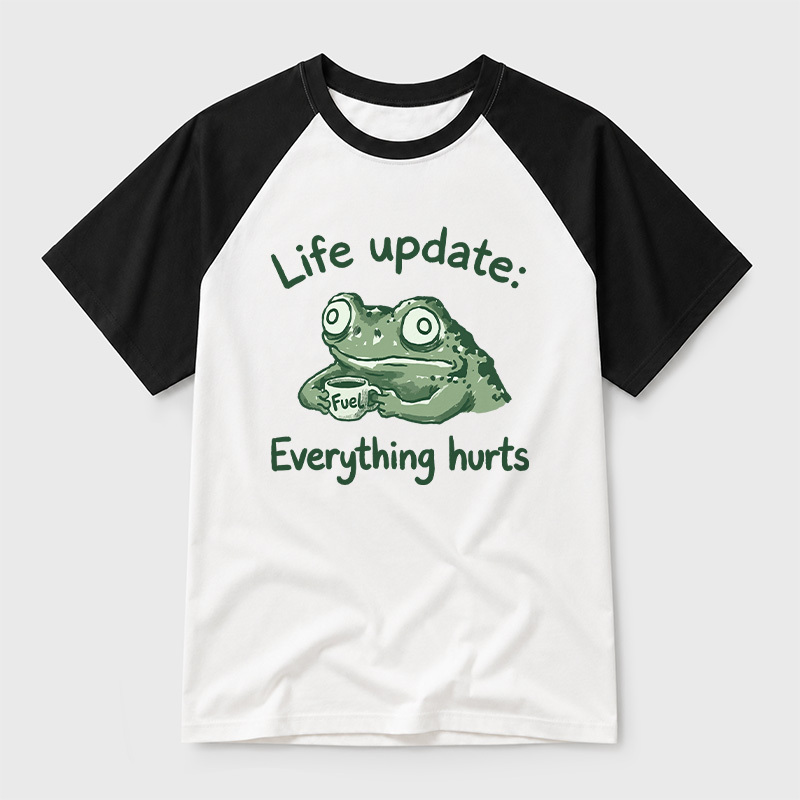 EVERYTHING HURTS Geek Retro Raglan T-Shirt