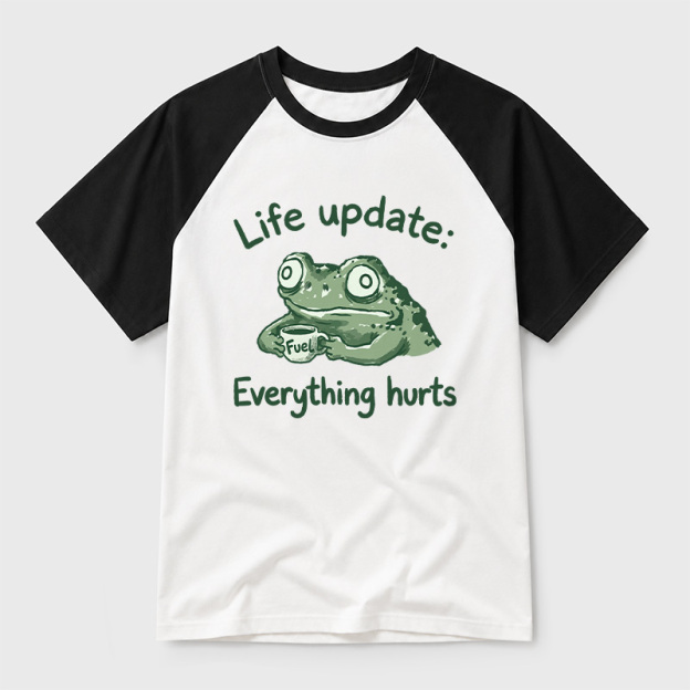 EVERYTHING HURTS Geek Retro Raglan T-Shirt