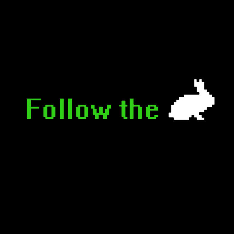 Follow The White Rabbit Geek T-Shirt