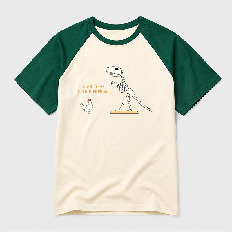 I Used To Be Such A Badass Geek Retro Raglan T-Shirt