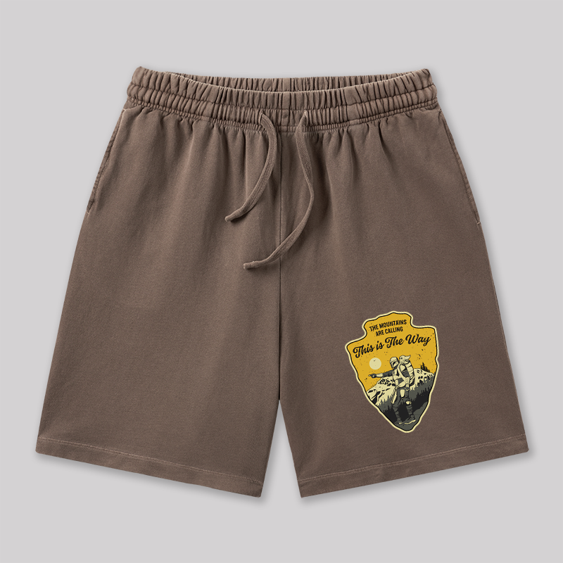 This is the Way Geeky Washed Shorts