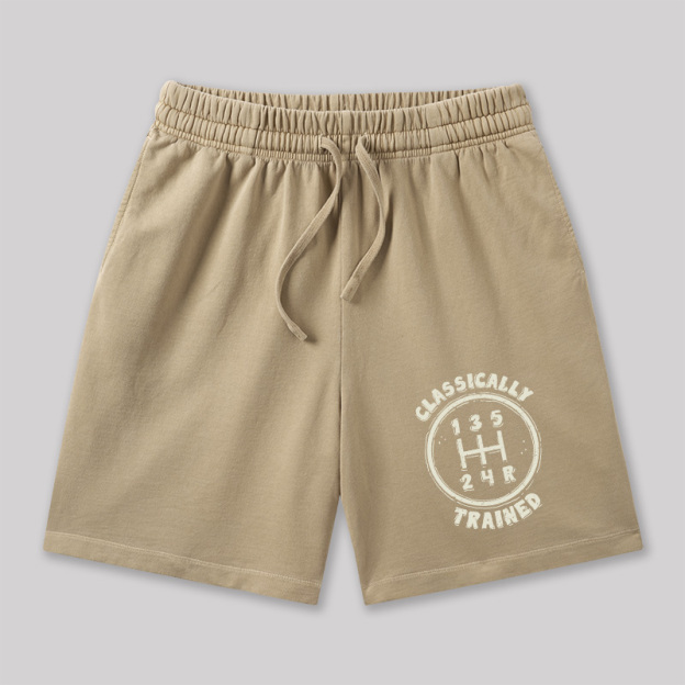Classically Trained Geeky Washed Shorts