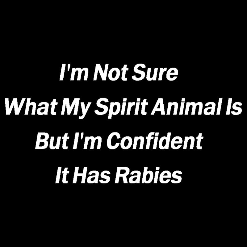 Im Not Sure What My Spirit Animal Is Geek T-Shirt