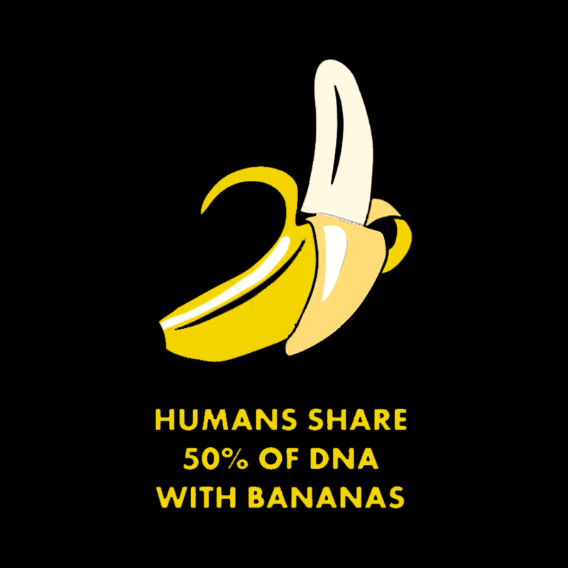 Humans Share 50% of DNA with Bananas Geek T-Shirt